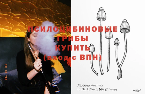 spice Покров